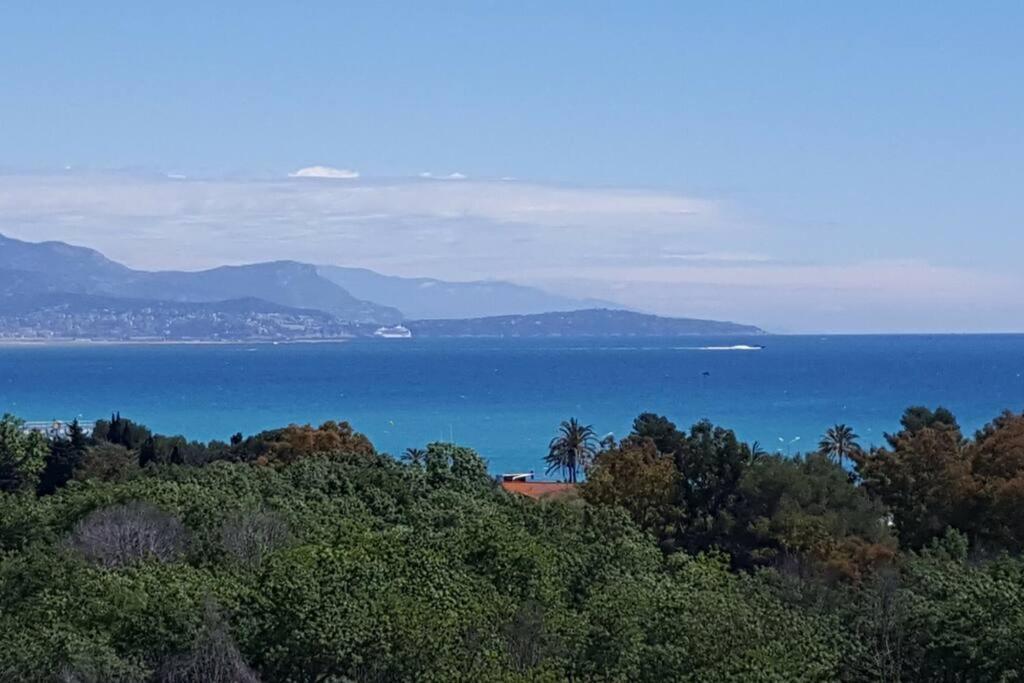 Superbe Appartement, Piscine, Vue Mer Et Montagnes Antibes Buitenkant foto