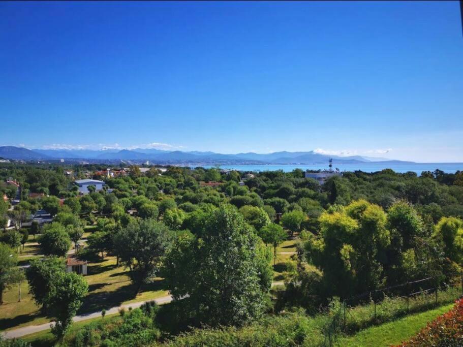 Superbe Appartement, Piscine, Vue Mer Et Montagnes Antibes Buitenkant foto